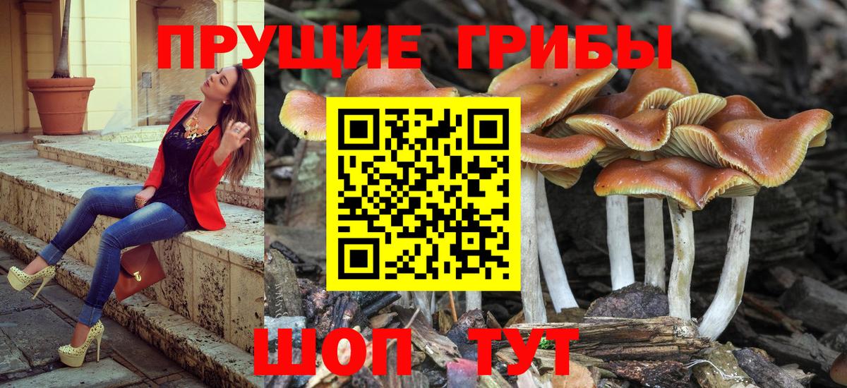 Галлюциногенные грибы мухоморы  Вход с VPN  Псилоцибиновые грибы Psilocybine cubensis  Рязань 